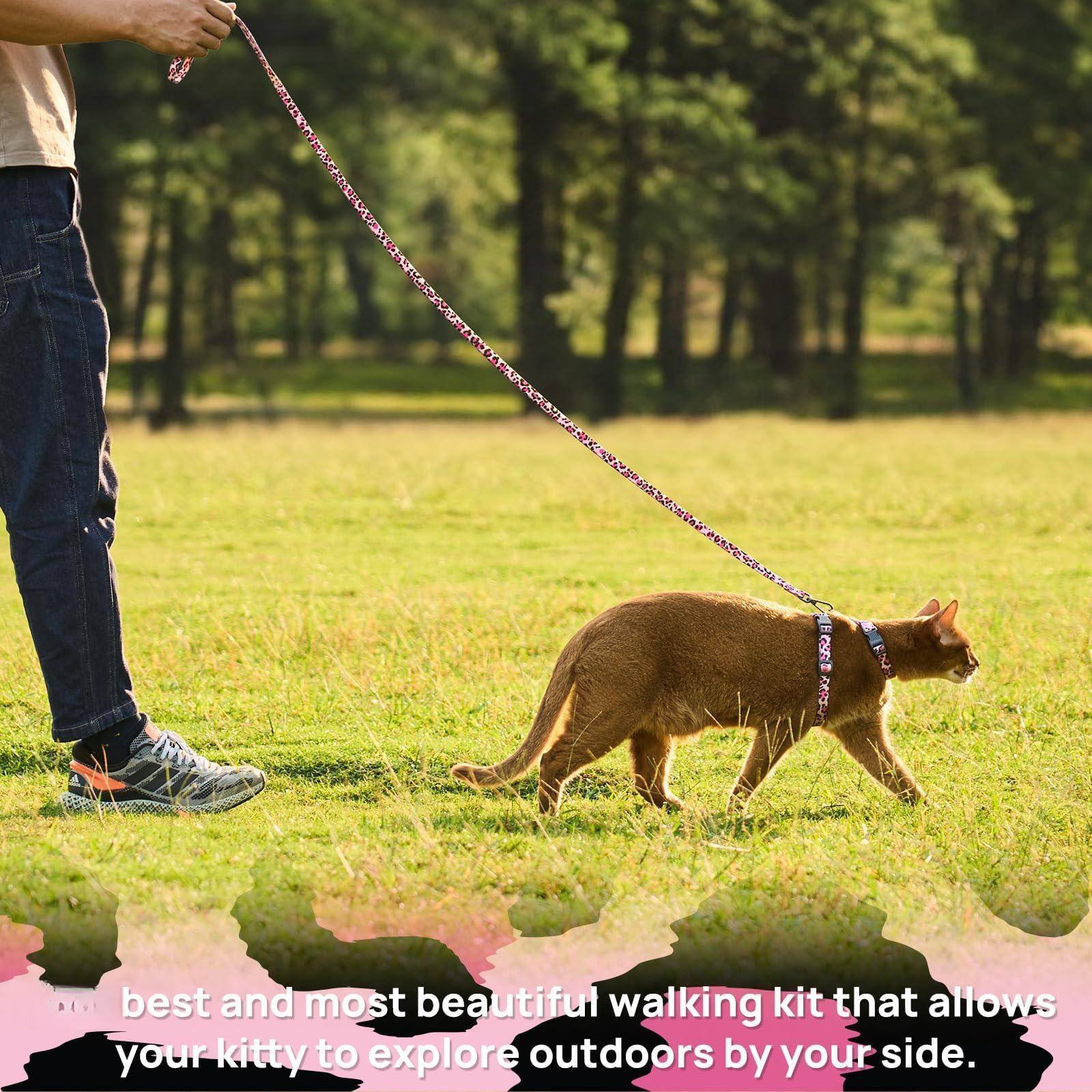 The text from the image can be grouped and corrected as follows:

"best and most beautiful walking kit that allows your kitty to explore outdoors by your side."