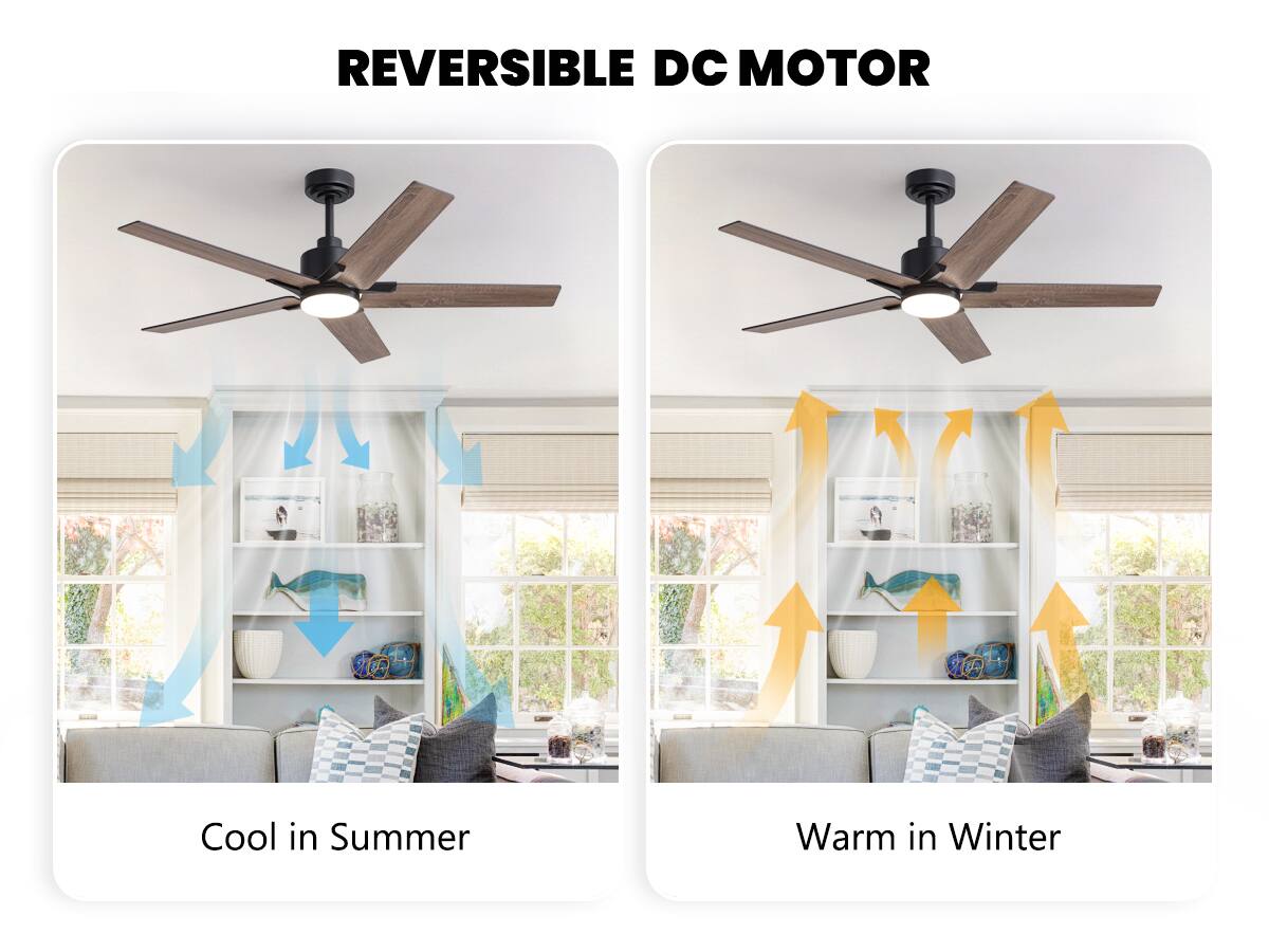 REVERSIBLE DC MOTOR

Cool in Summer

Warm in Winter