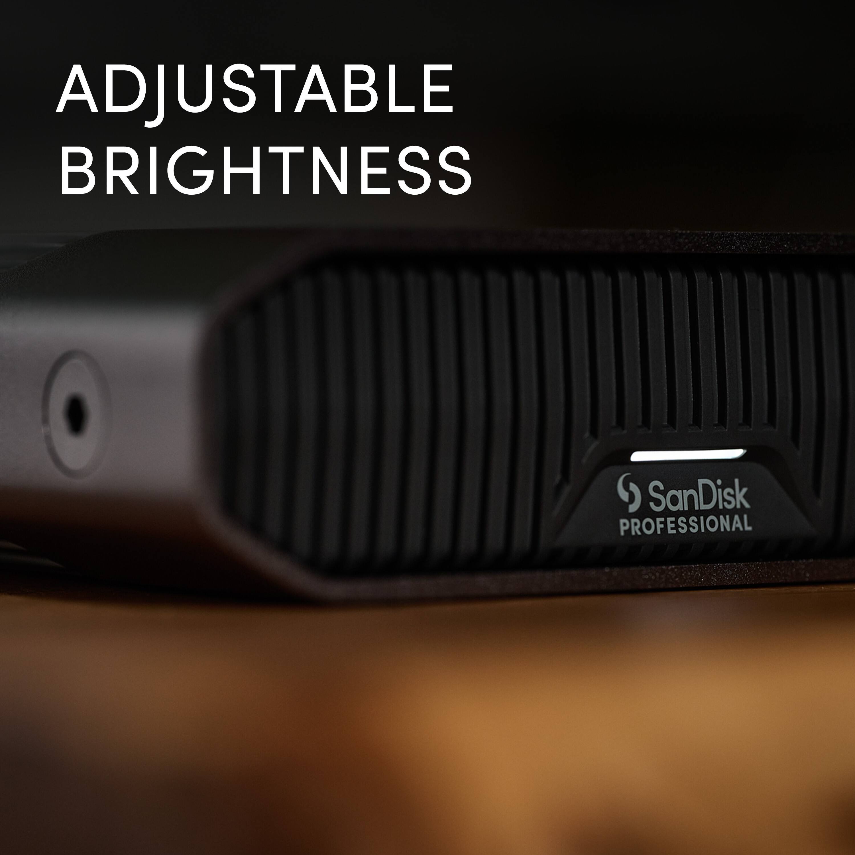 ADJUSTABLE BRIGHTNESS SanDisk PROFESSIONAL