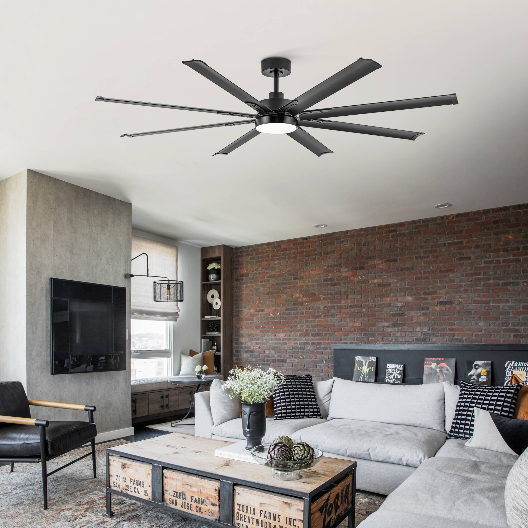 ZORIA FARMS SAN JOSE CA 55
ZORIA FARMS BRENTWOOD
ZORIA FARMS INC.