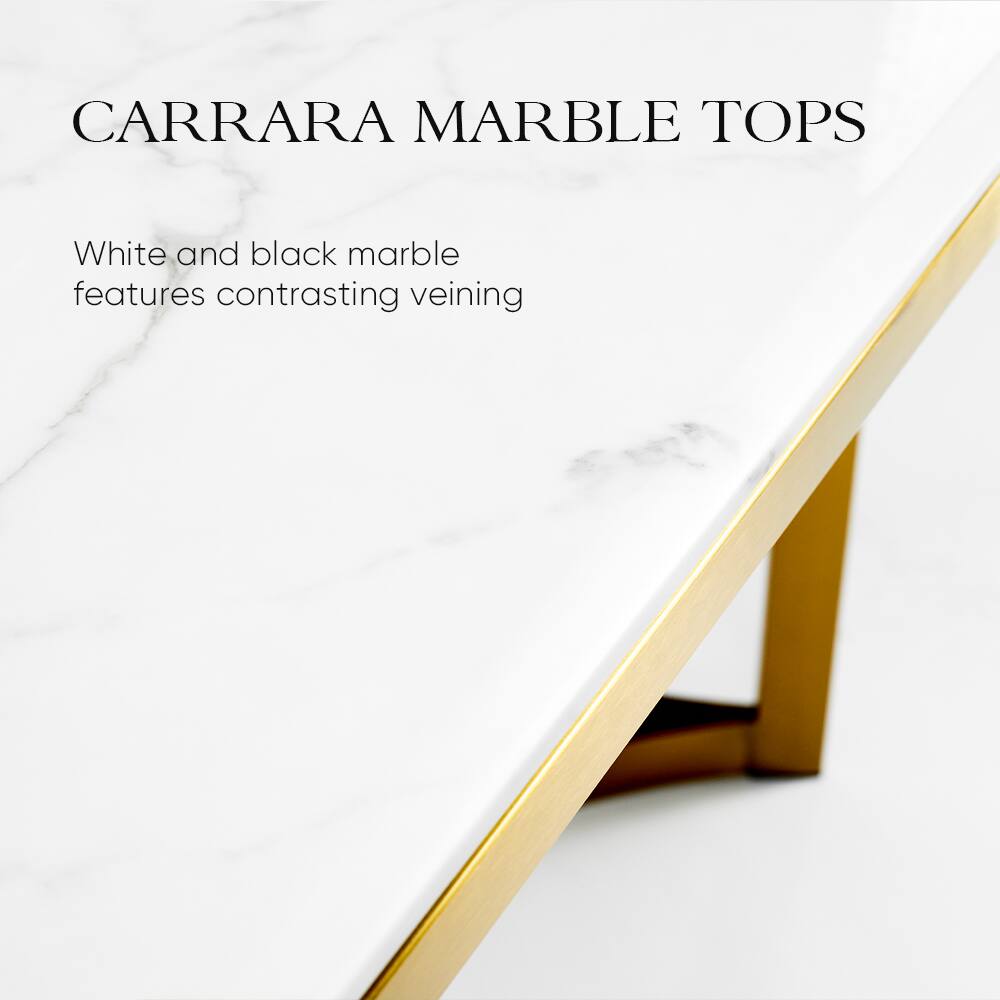 CARRARA MARBLE TOPS

White and black marble features contrasting veining