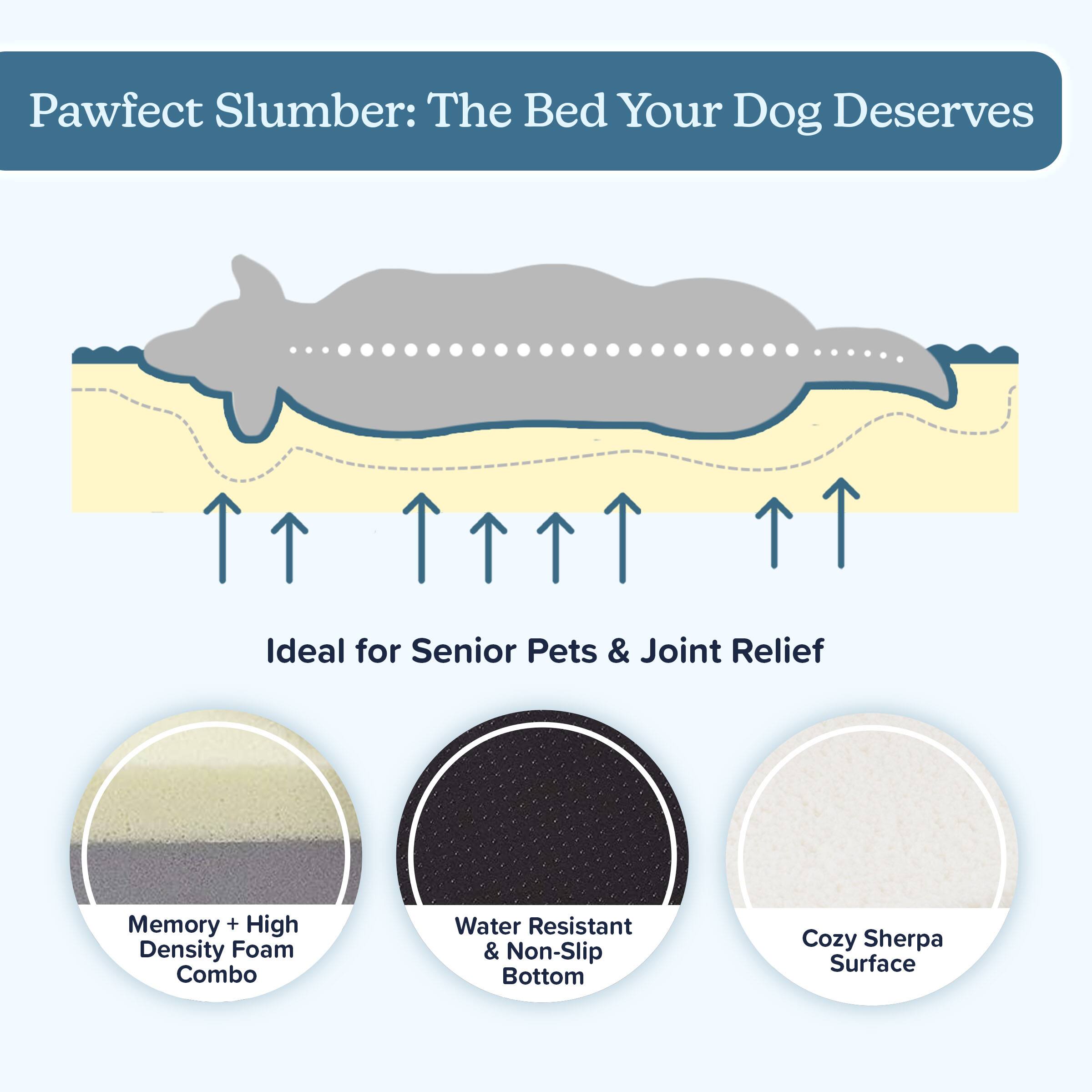 Pawfect Slumber: The Bed Your Dog Deserves

Ideal for Senior Pets & Joint Relief

- Memory + High Density Foam Combo
- Water Resistant & Non-Slip Bottom
- Cozy Sherpa Surface