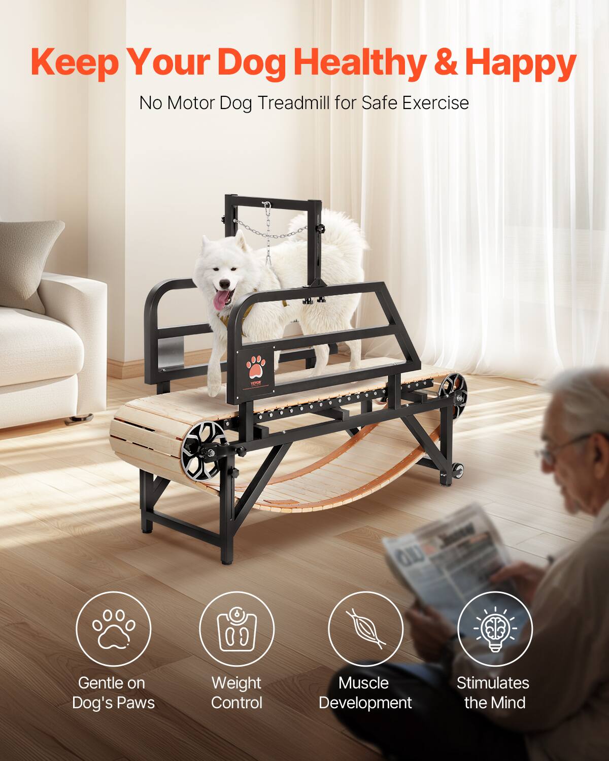 Keep Your Dog Healthy & Happy
No Motor Dog Treadmill for Safe Exercise

Gentle on Dog's Paws
Weight Control
Muscle Development
Stimulates the Mind