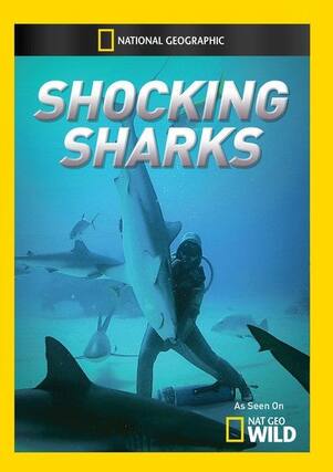 Front. Shocking Sharks - DVD.