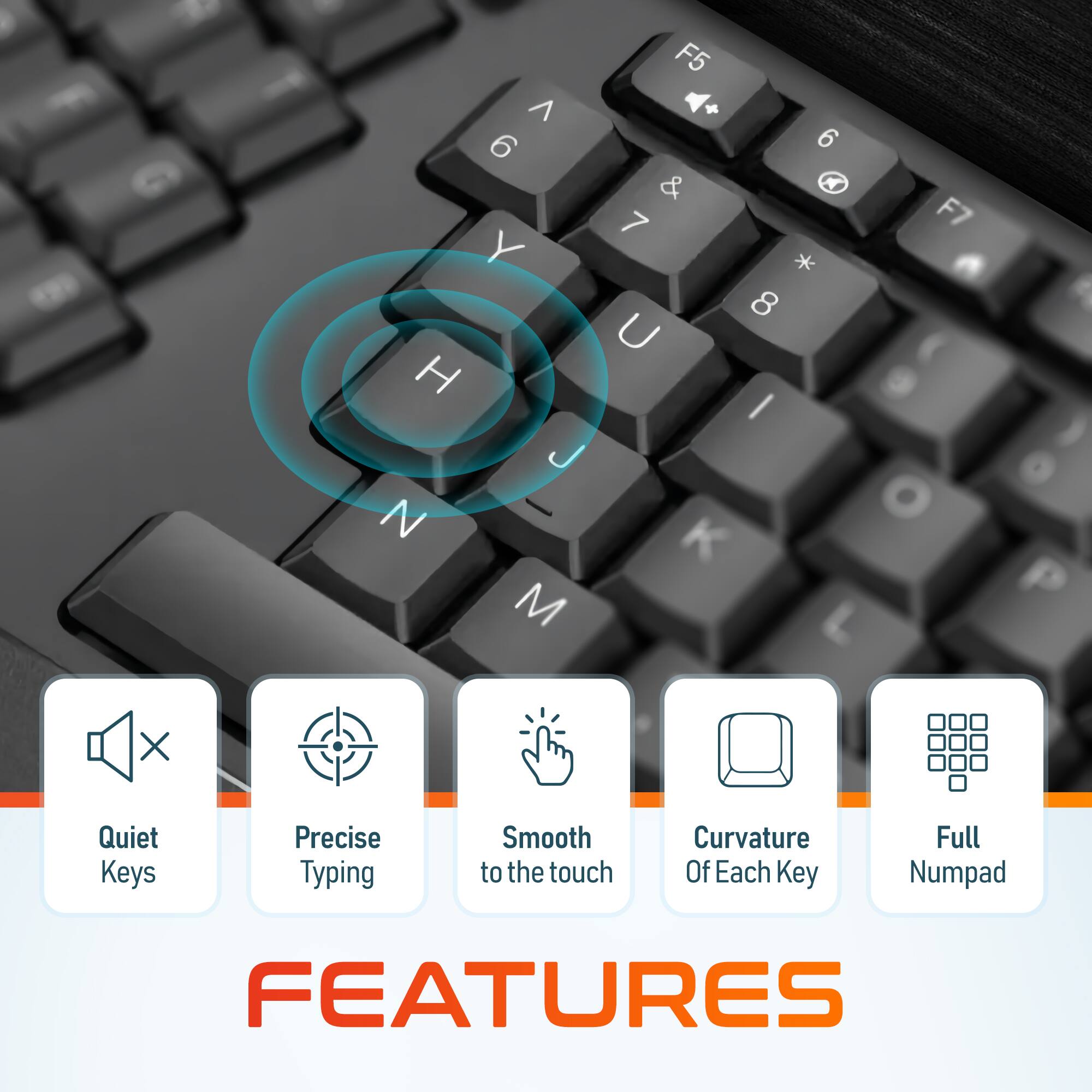 F5 ^ 6 6 & 7 Y * 8 U H I J N - K M L F7 P X Quiet Keys Precise Typing Smooth to the touch Curvature Of Each Key Full Numpad FEATURES