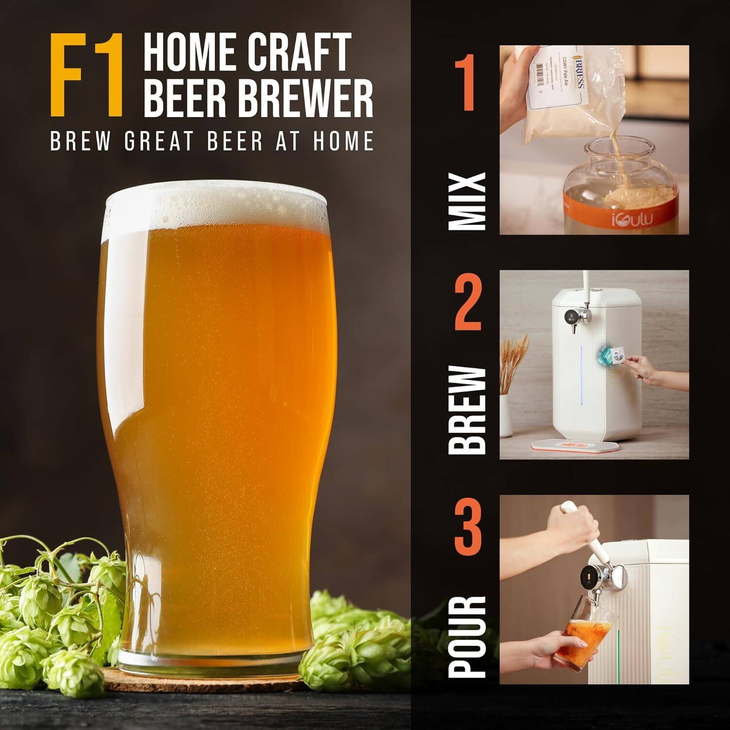 F1 HOME CRAFT BEER BREWER  
BREW GREAT BEER AT HOME  

1 MIX  
2 BREW  
3 POUR  

BRIESS  
iGulu