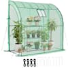 Front. VEVOR - Walk-in Greenhouse,78" x 39.4" x 78.7" Greenhouse for Outdoors with Window, PE Cover, 3-Tier Shelf, Roll-Up Zipper Doors - Green.
