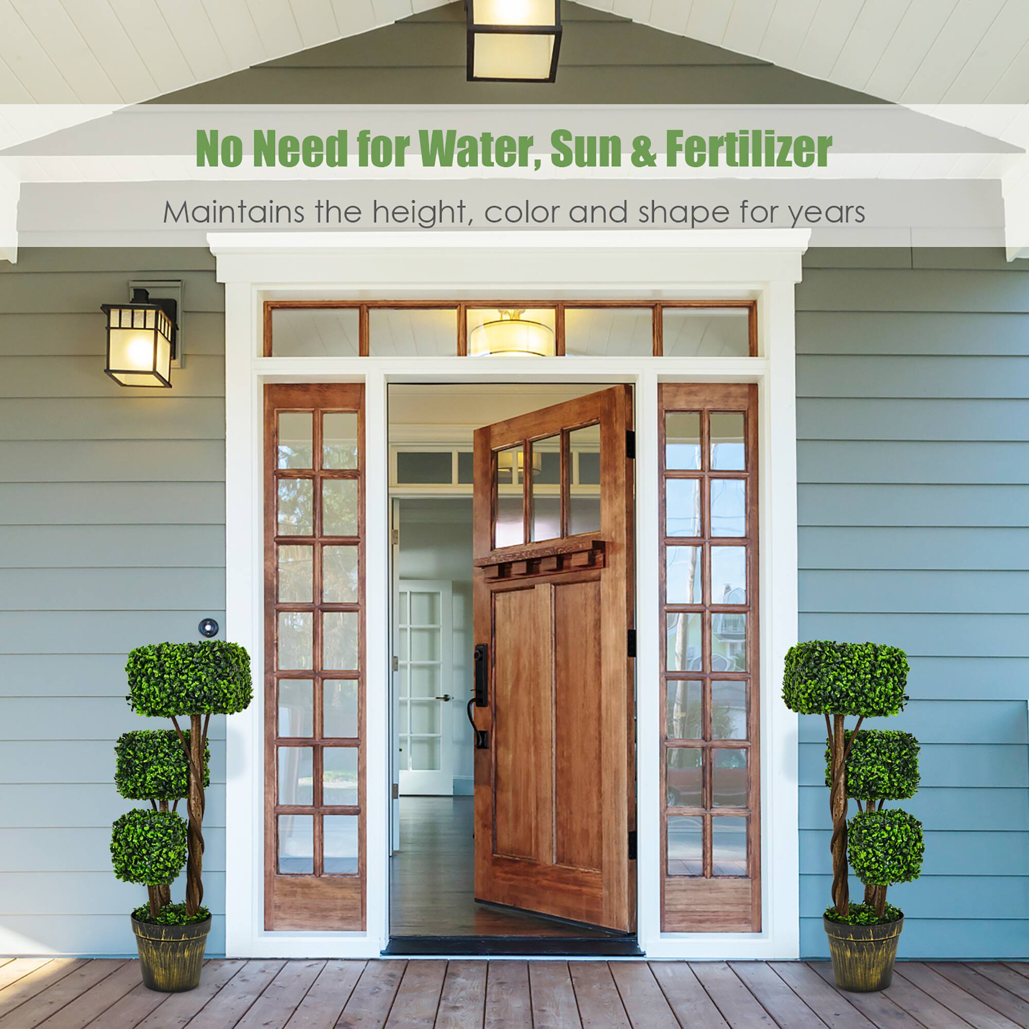 No Need for Water, Sun & Fertilizer. Maintains the height, color and shape for years.