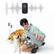 Back. HOLLYLAND - Hollyland LARK A1 Combo 2-Person Wireless Microphone System with USB-C and Lightning Connectors for Mobile Devices - Black.
