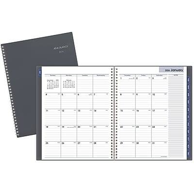 AT-A-GLANCE - 2026 DayMinder 8.5" x 11" Monthly Planner, Poly Cover - Gray