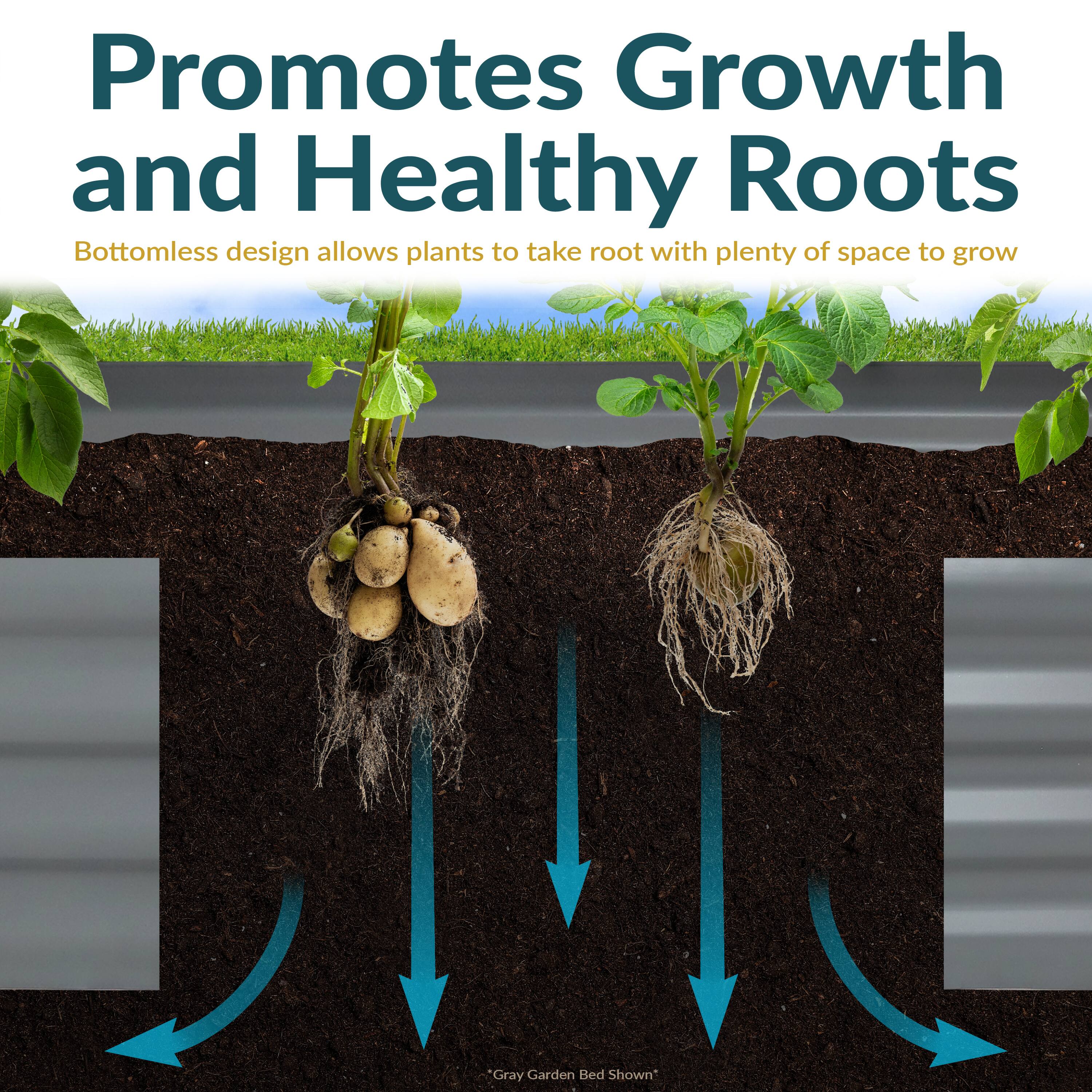 Promotes Growth and Healthy Roots

Bottomless design allows plants to take root with plenty of space to grow

*Gray Garden Bed Shown*