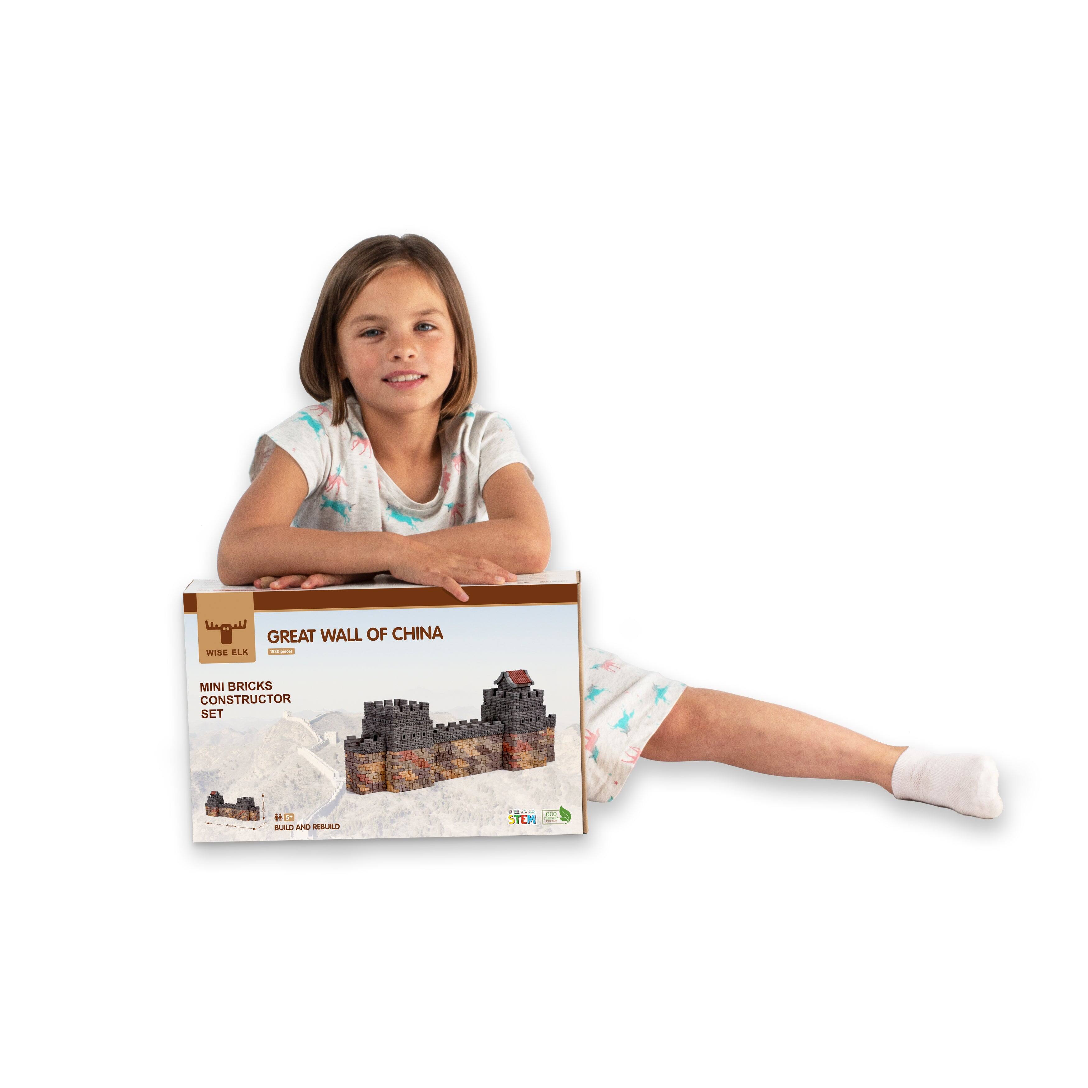 GREAT WALL OF CHINA  
MINI BRICKS CONSTRUCTOR SET  
STEM