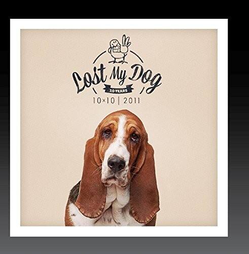 Lost My Dog  
10 YEARS  
10x10 | 2011