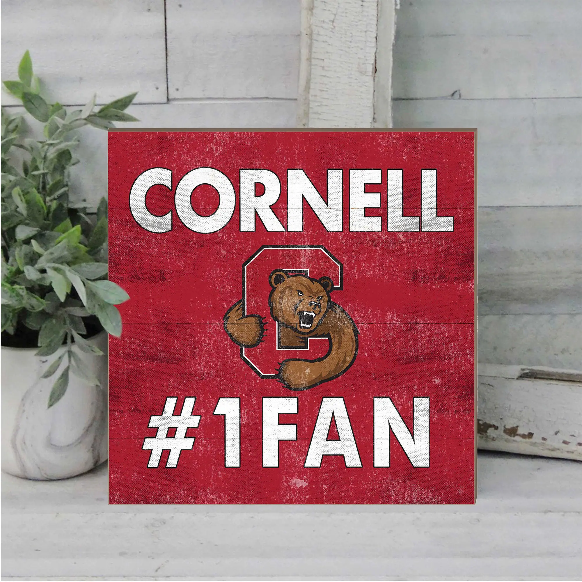 CORNELL  
#1 FAN