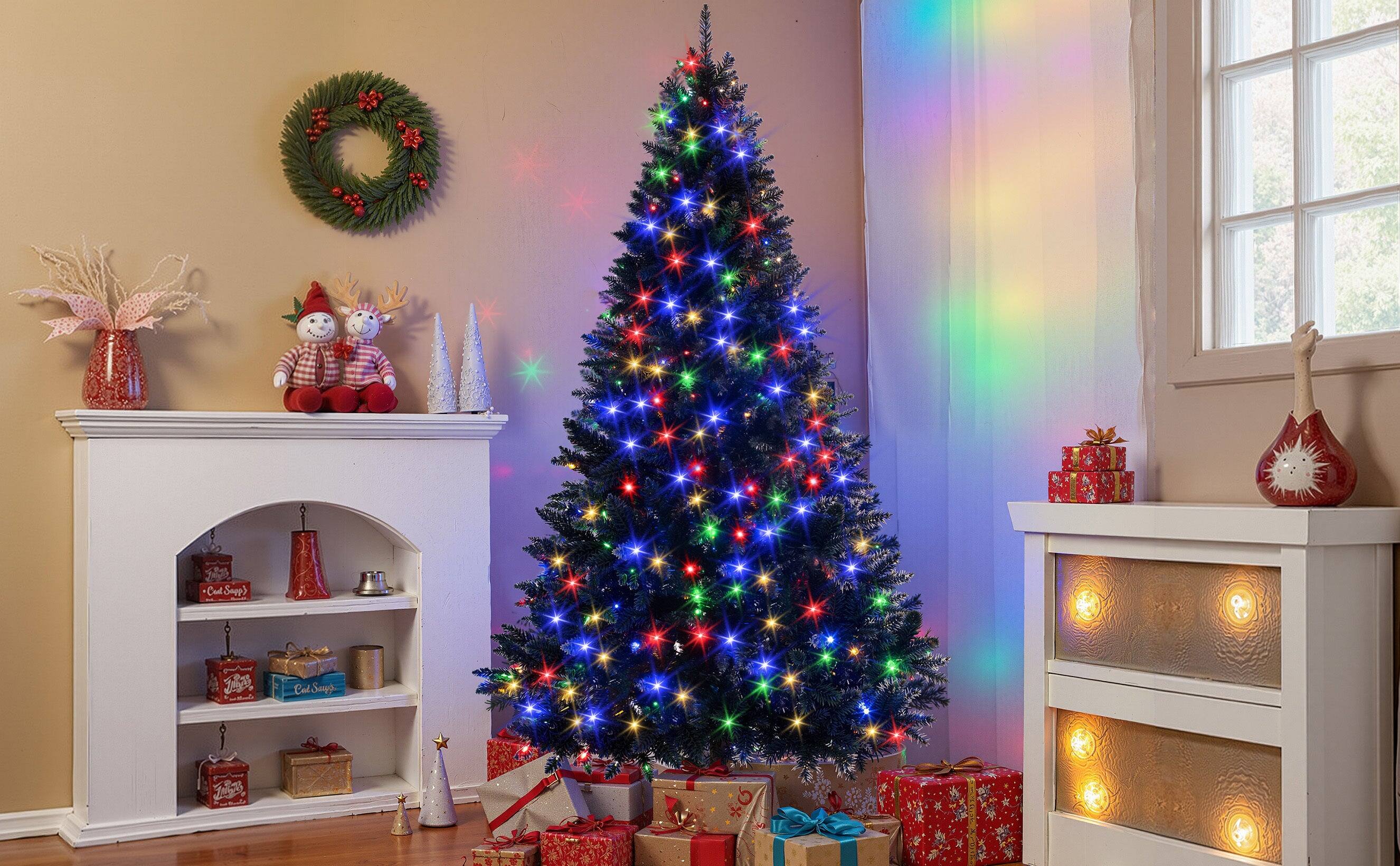 10. NED Cad Smpp) 1 Cat Supp 3