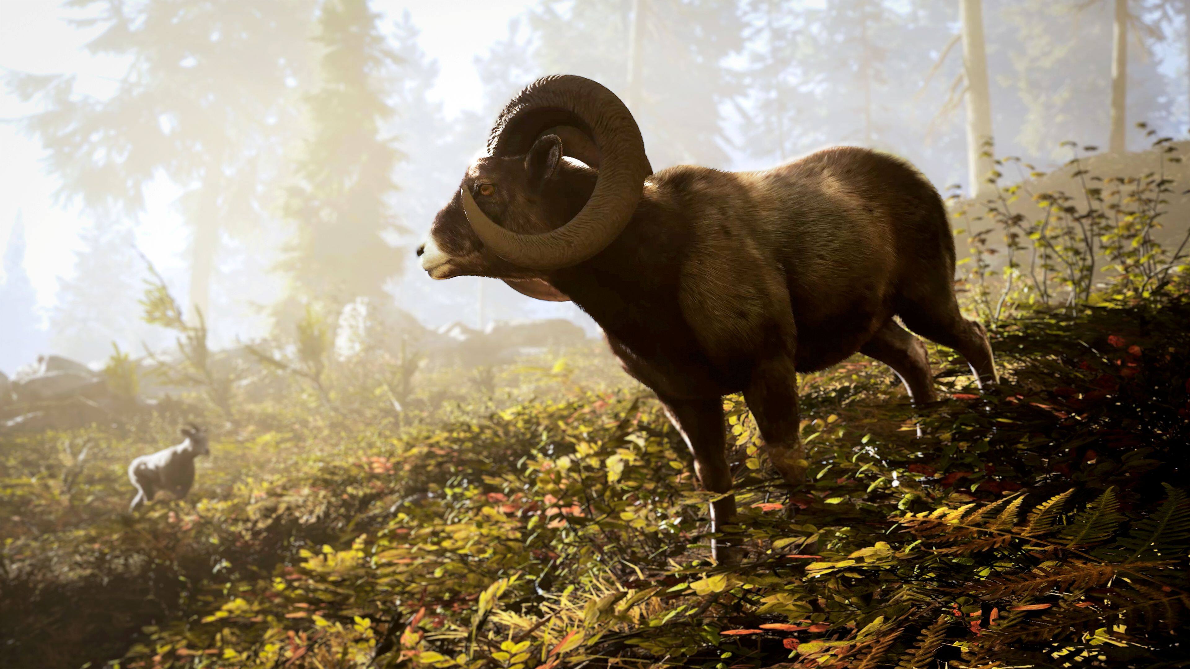 Alt View 3. Solutions 2 Go - Hunting Simulator 3 for Playstation 5.