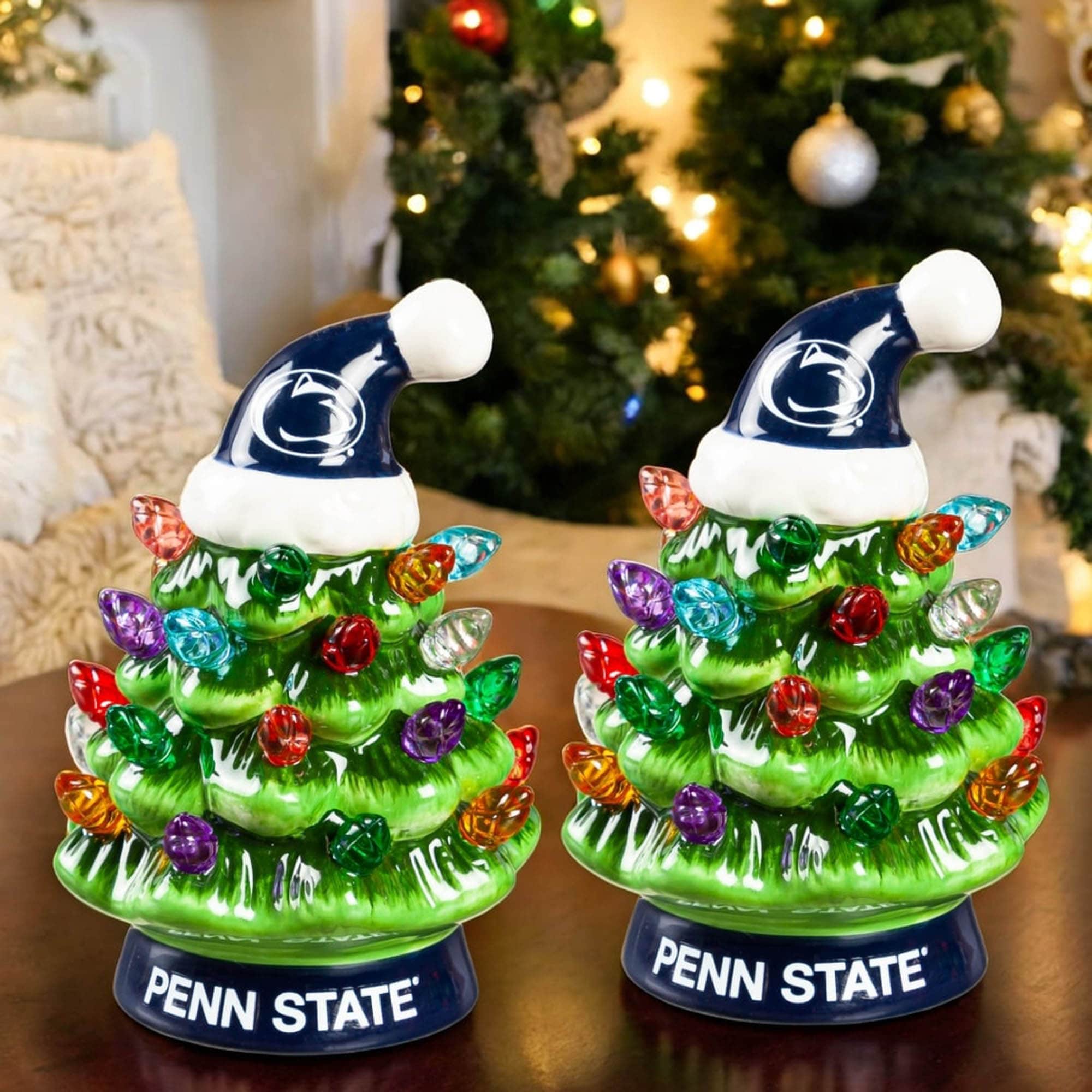 PENN STATE  
PENN STATE