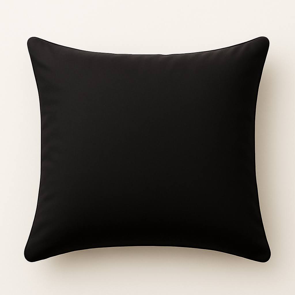 Angle. LuXeo - 2-Pack Indoor-Outdoor Throw Pillow/ Size:18" x 18" - Black.