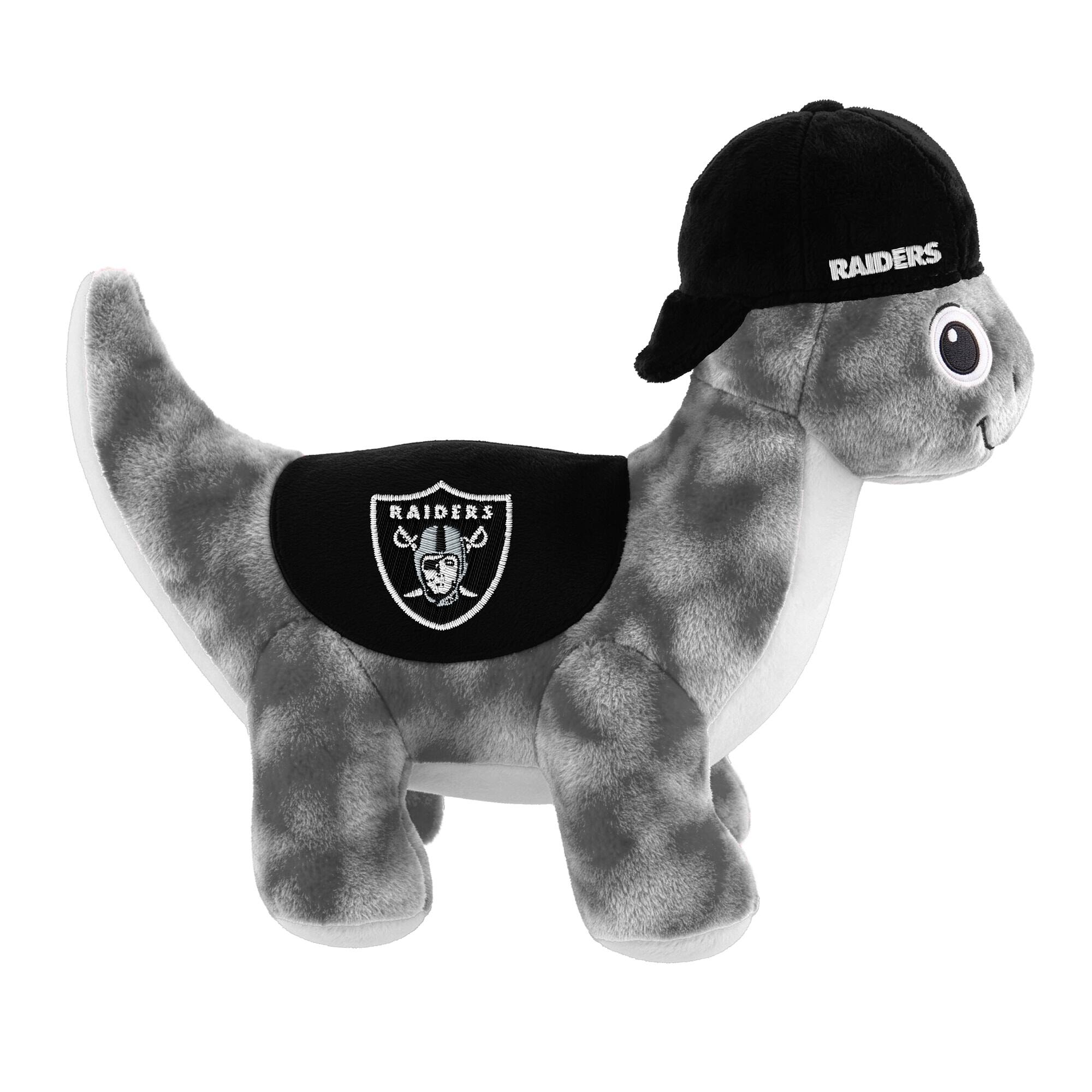 RAIDERS RAIDERS