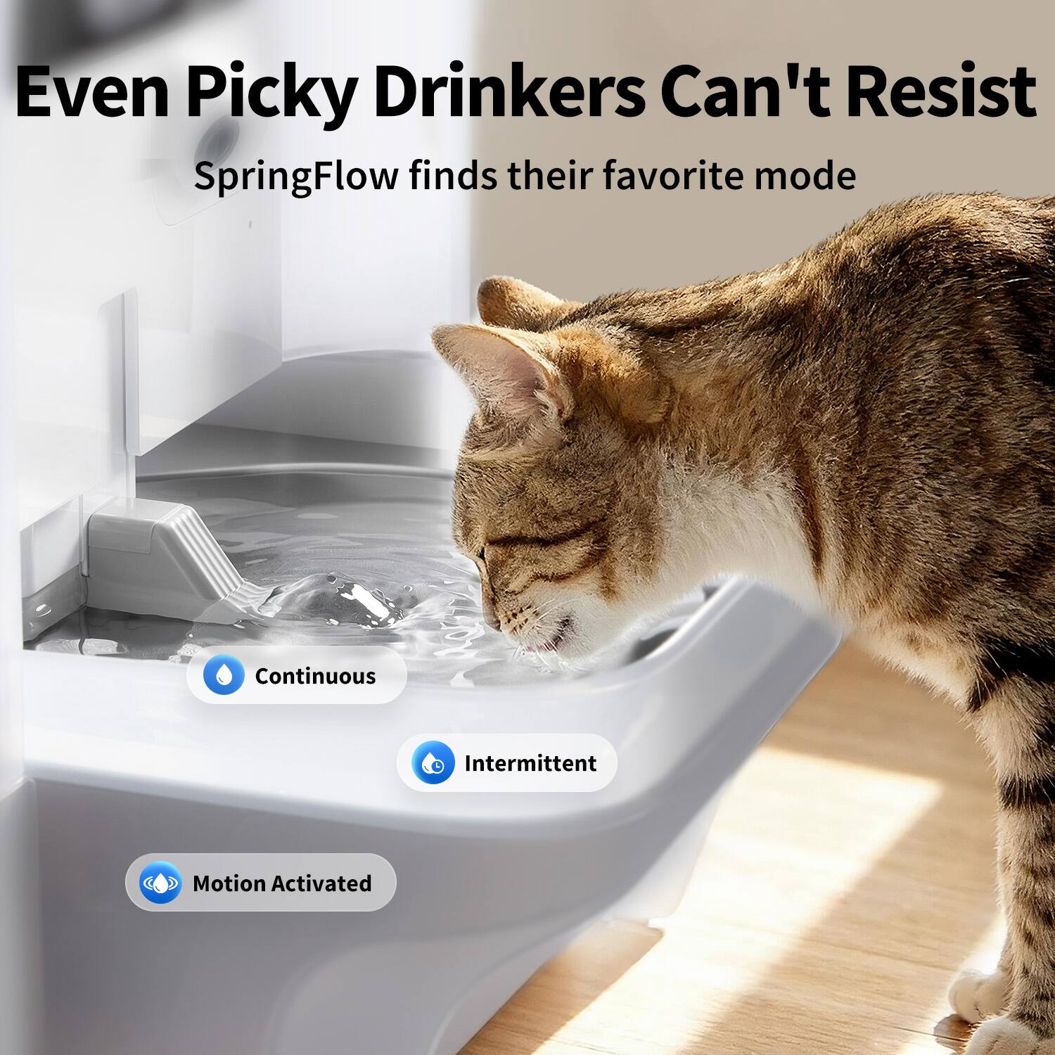 Even Picky Drinkers Can't Resist  
SpringFlow finds their favorite mode

Continuous  
Intermittent  
Motion Activated