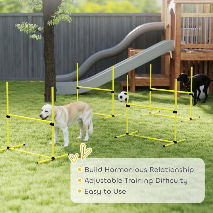 Build Harmonious Relationship  
Adjustable Training Difficulty  
Easy to Use