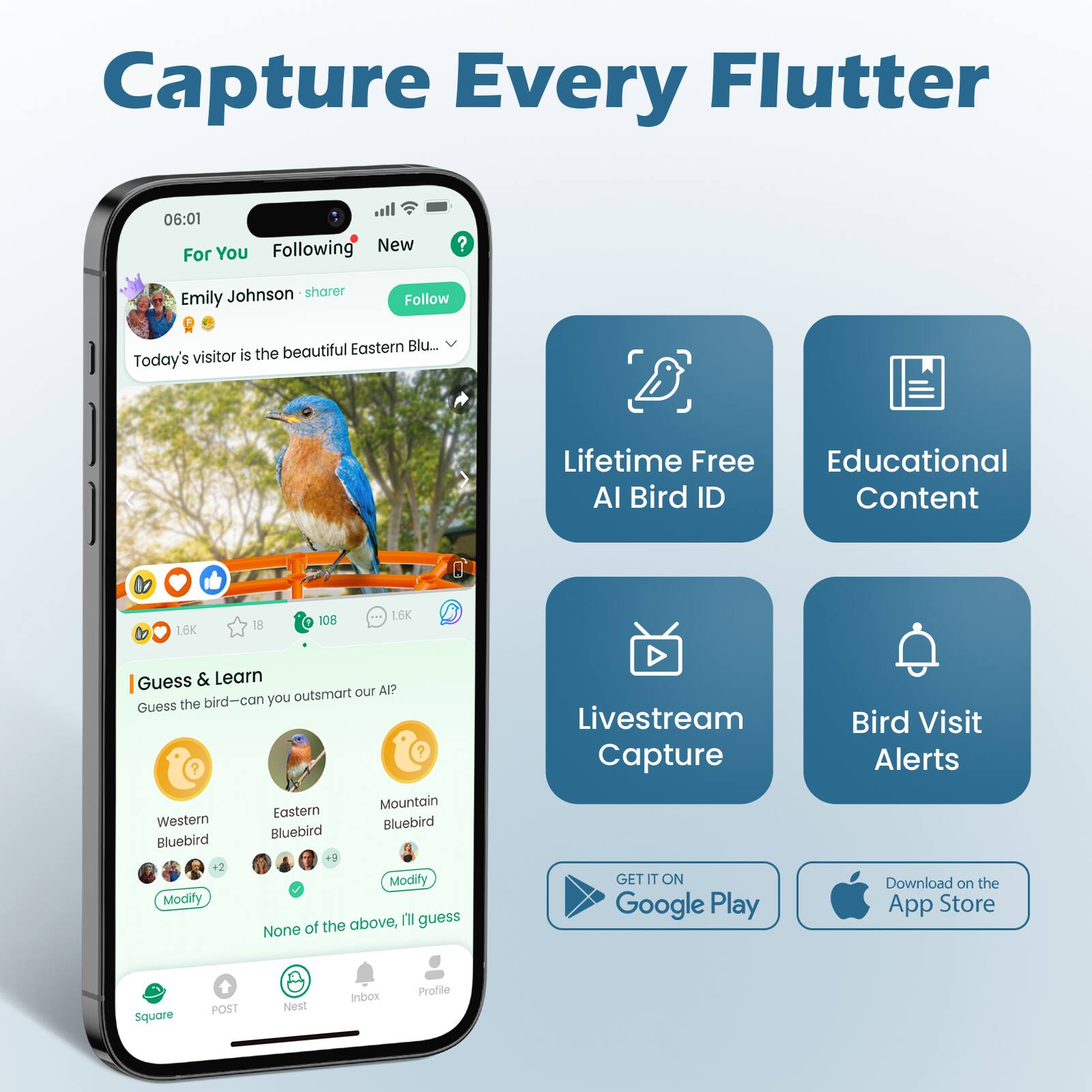 Capture Every Flutter

06:01

For You Following New

Emily Johnson • sharer

Today's visitor is the beautiful Eastern Bluebird...

Guess & Learn

Guess the bird—can you outsmart our AI?

- Western Bluebird
- Eastern Bluebird
- Mountain Bluebird

Modify

None of the above, I'll guess

Lifetime Free AI Bird ID

Educational Content

Livestream Capture

Bird Visit Alerts

GET IT ON Google Play

Download on the App Store