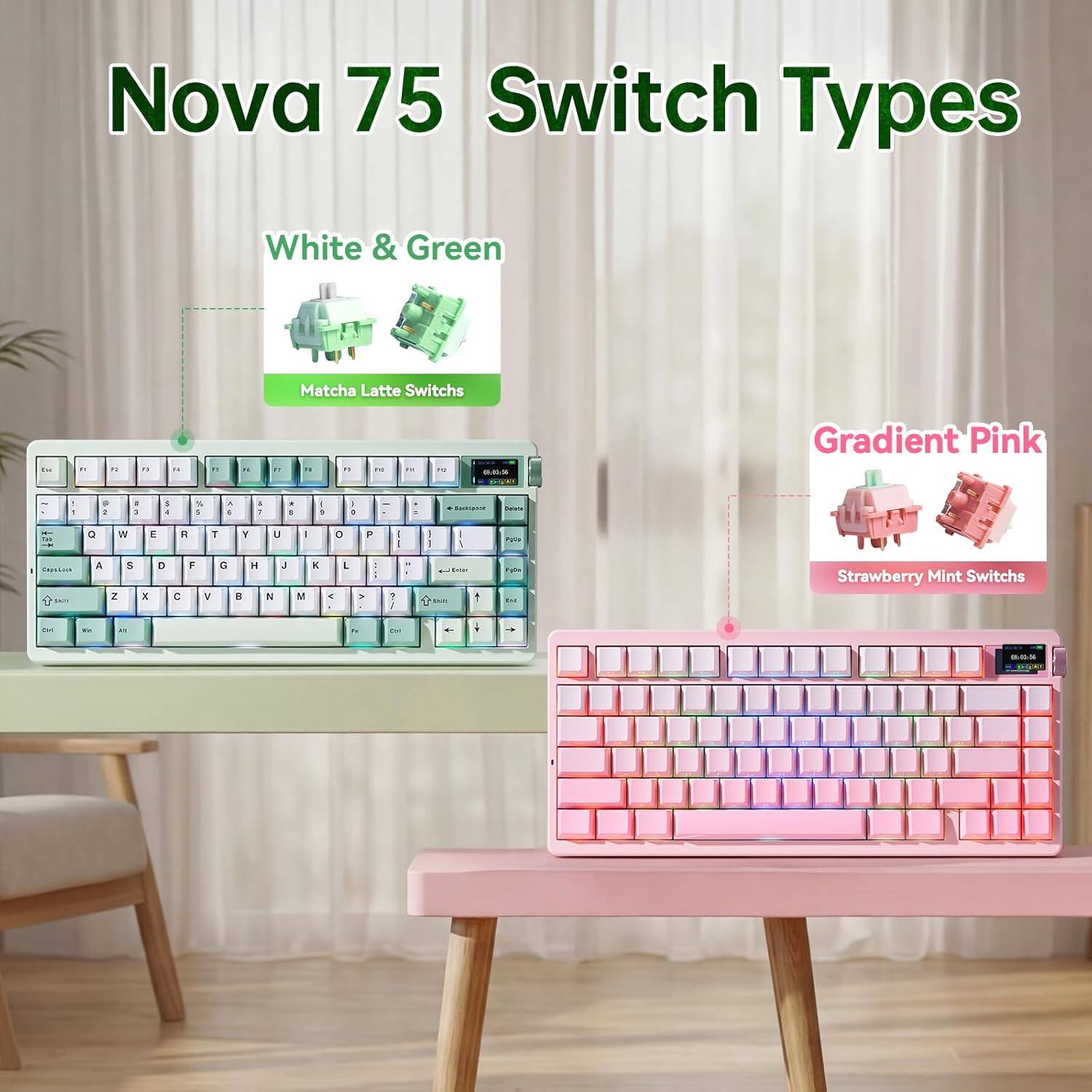 Nova 75 Switch Types

White & Green
Matcha Latte Switches

Gradient Pink
Strawberry Mint Switches