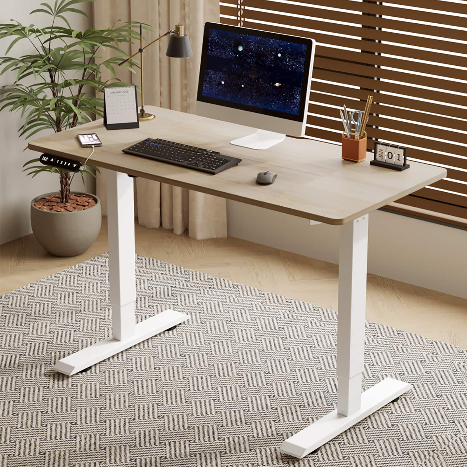Chateau Abodes - 55" Electric Standing Desk with Adjustable Height, Real Wood Top & USB/LED, 4 Memory Buttons - Light Oak