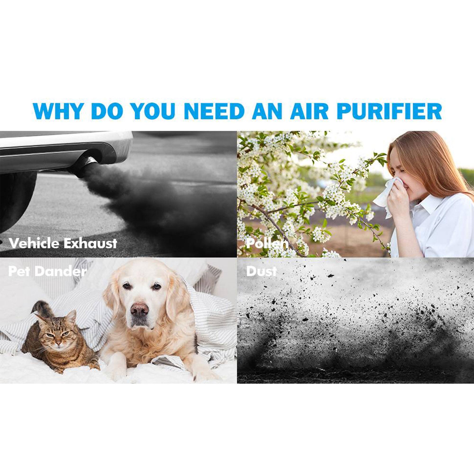 WHY DO YOU NEED AN AIR PURIFIER

- Vehicle Exhaust
- Pollen
- Pet Dander
- Dust