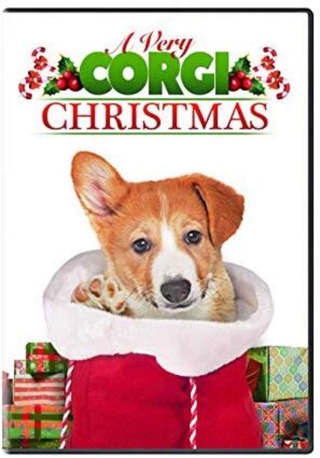 Front. A Very Corgi Christmas   - DVD.