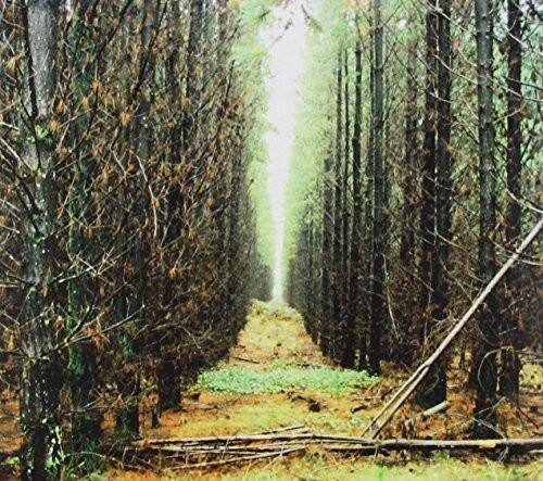 Front. Apart From This - In Gloom   - COMPACT DISCS.