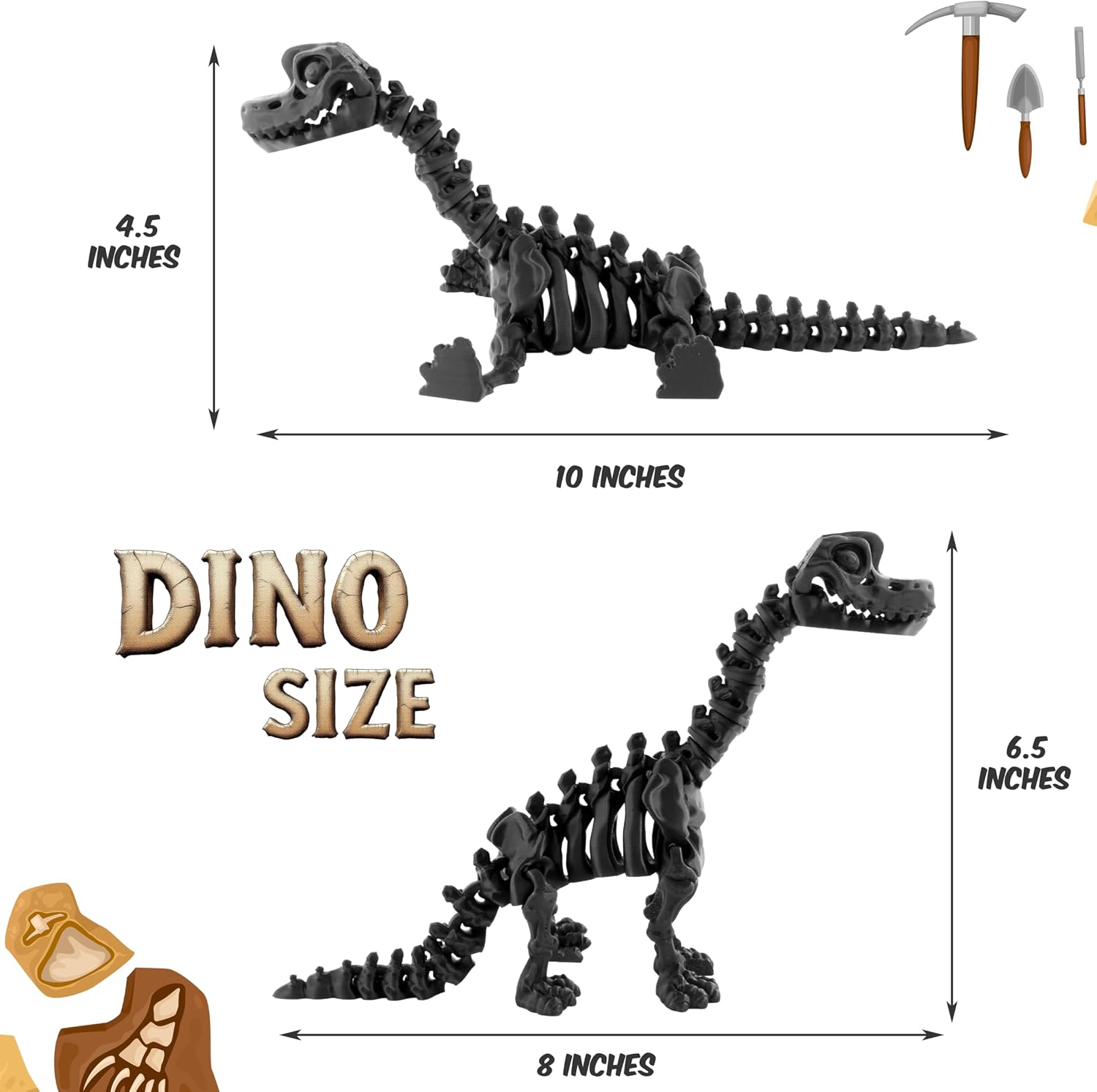 4.5 INCHES  
DINO SIZE  
10 INCHES  
6.5 INCHES  
8 INCHES