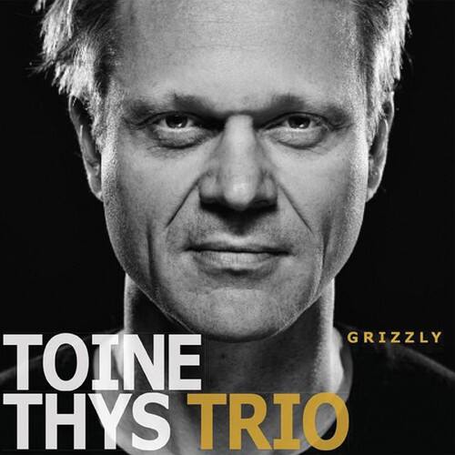 Toine Thys - Grizzly   - COMPACT DISCS [CD] price history on PriceWatchPro
