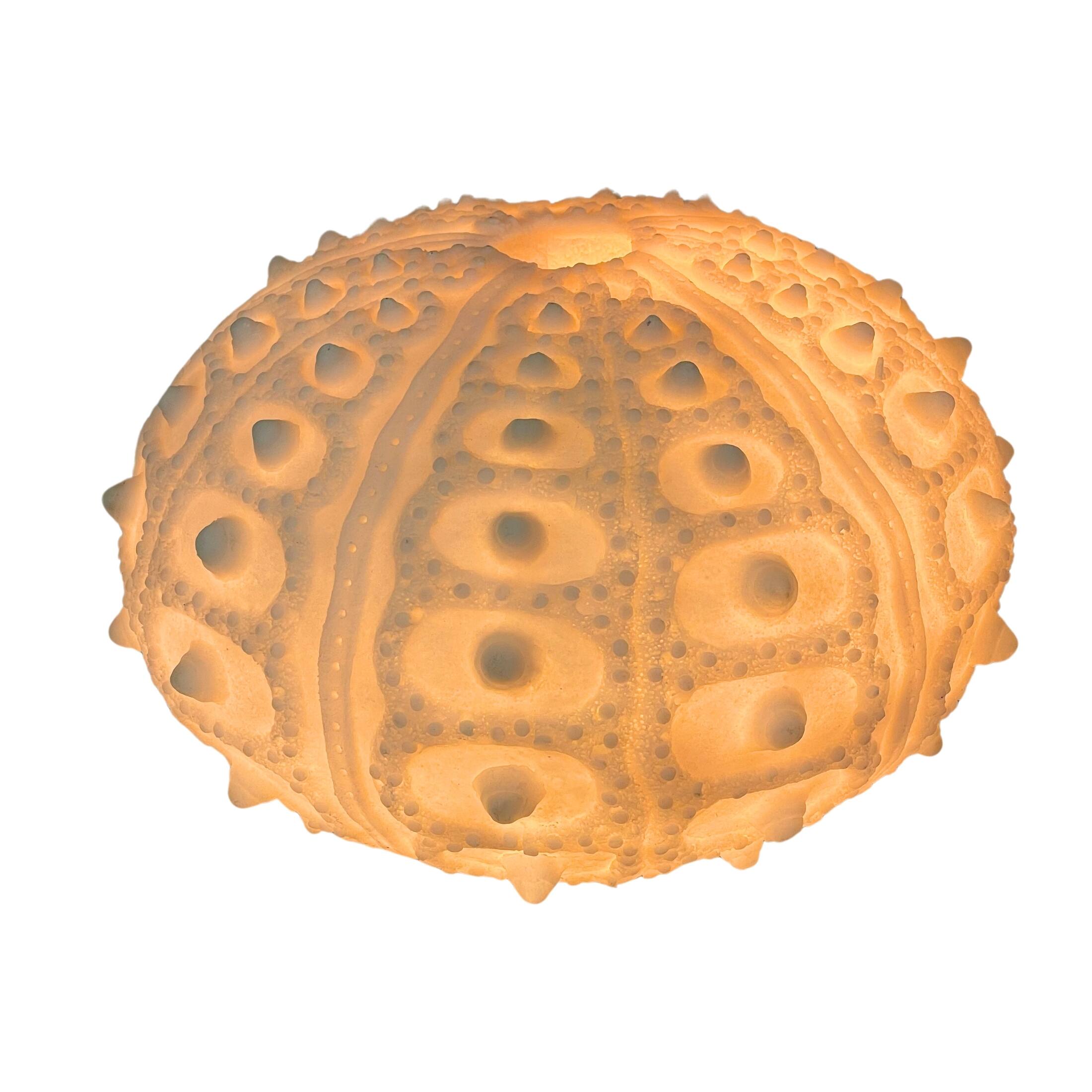 Alt View 1. Contrast Inc. - Coastal Sea Urchin Lamp, 12" Resin Sculpture with Warm Glow, Decorative Accent - White.