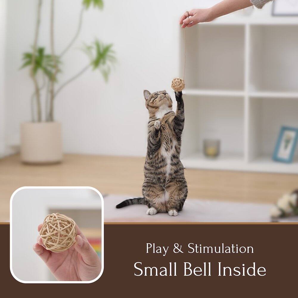 Play & Stimulation  
Small Bell Inside