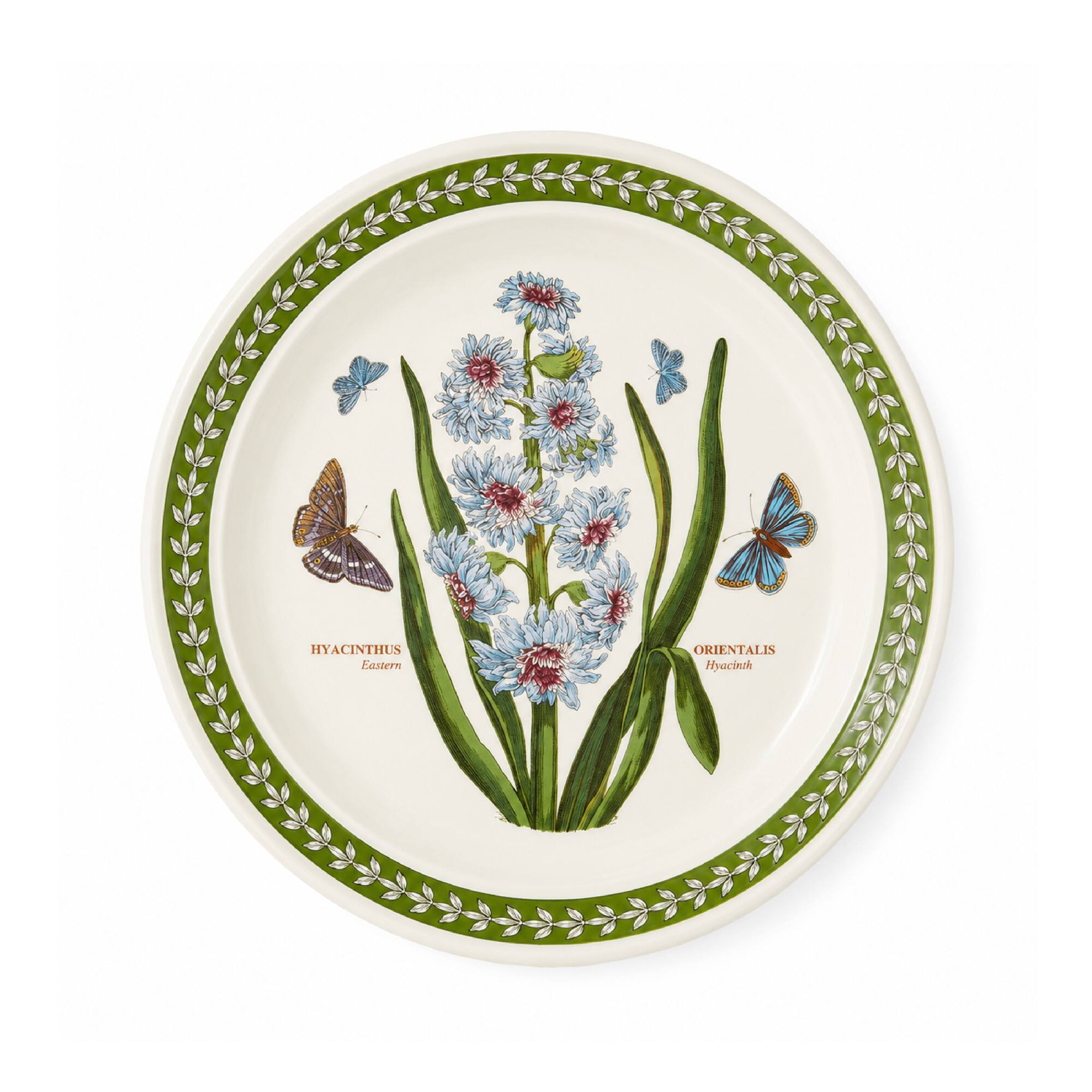 HYACINTHUS Eastern  
ORIENTALIS Hyacinth