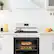 Alt View 1. Insignia™ - 5.3 Cu. Ft. Freestanding Electric Range with Dual-Size Burner and Storage Drawer - White.