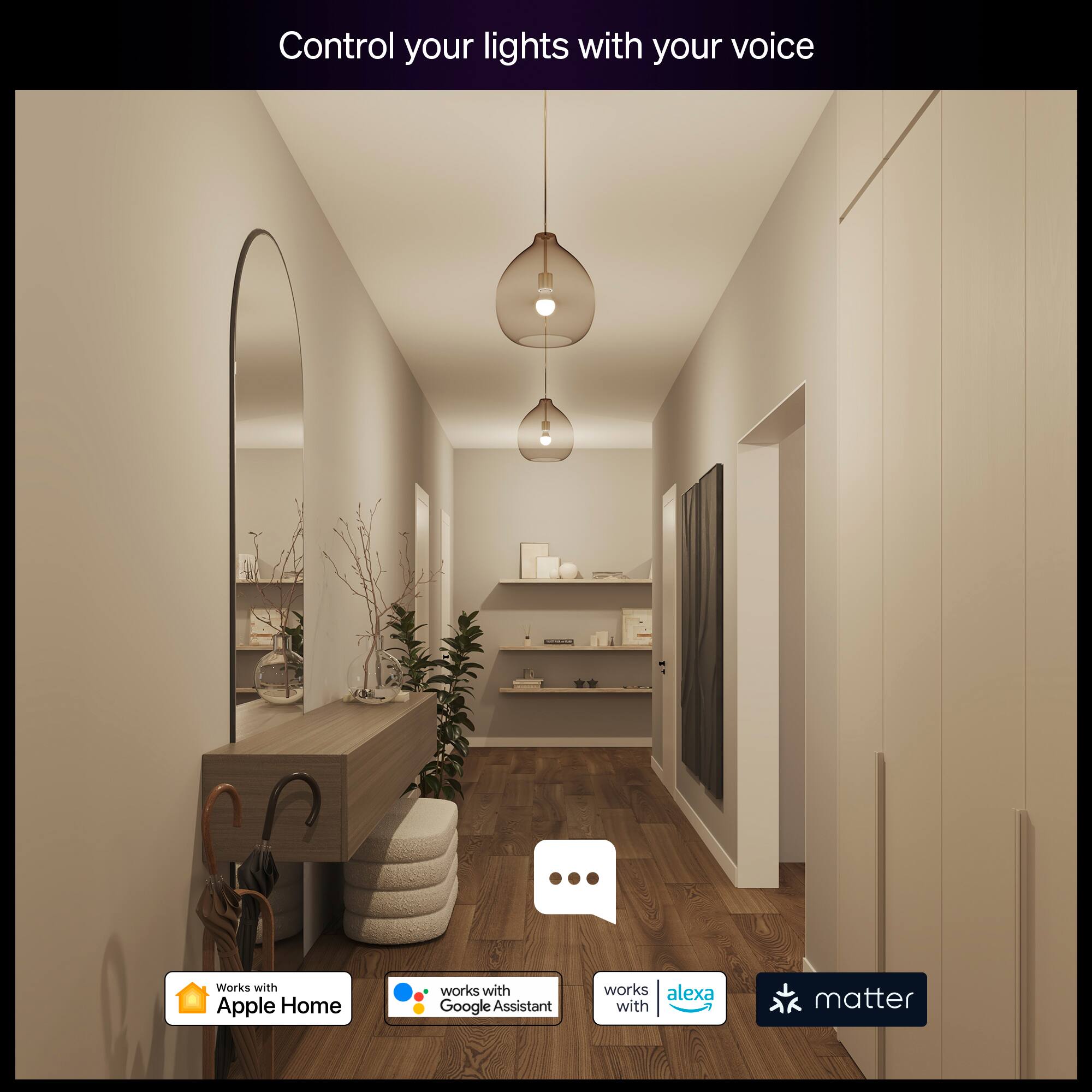 Control your lights with your voice

Works with Apple Home  
works with Google Assistant  
works with Alexa  
matter