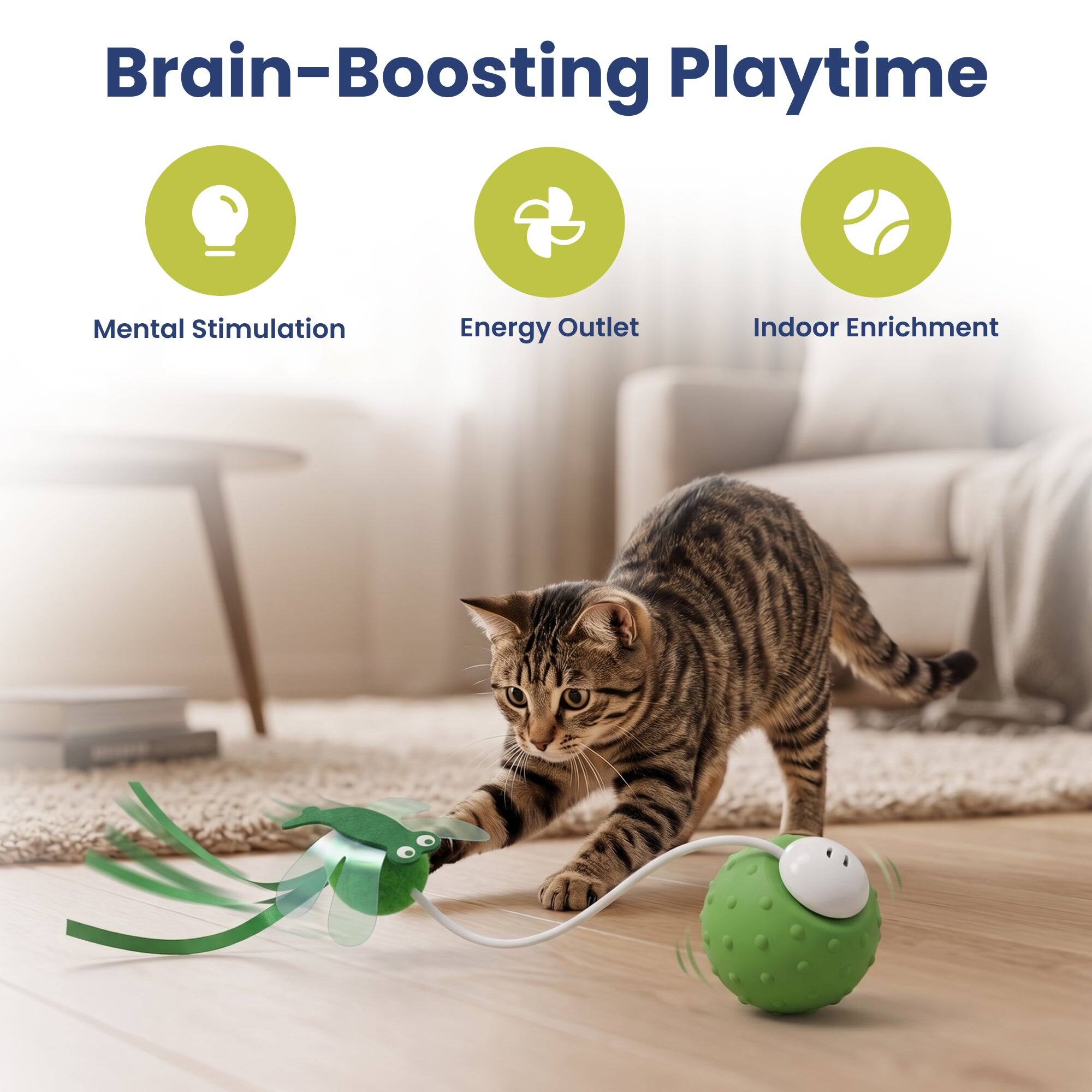 Brain-Boosting Playtime
Mental Stimulation
Energy Outlet
Indoor Enrichment
