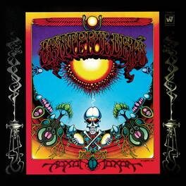 Grateful Dead - Aoxomoxoa - VINYL LP