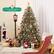 Please note that ornaments are not included.