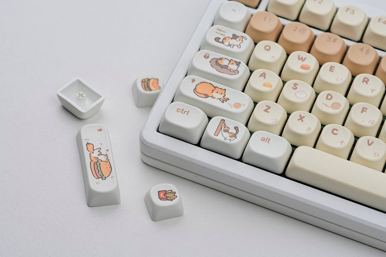 cutecat-137 Keys