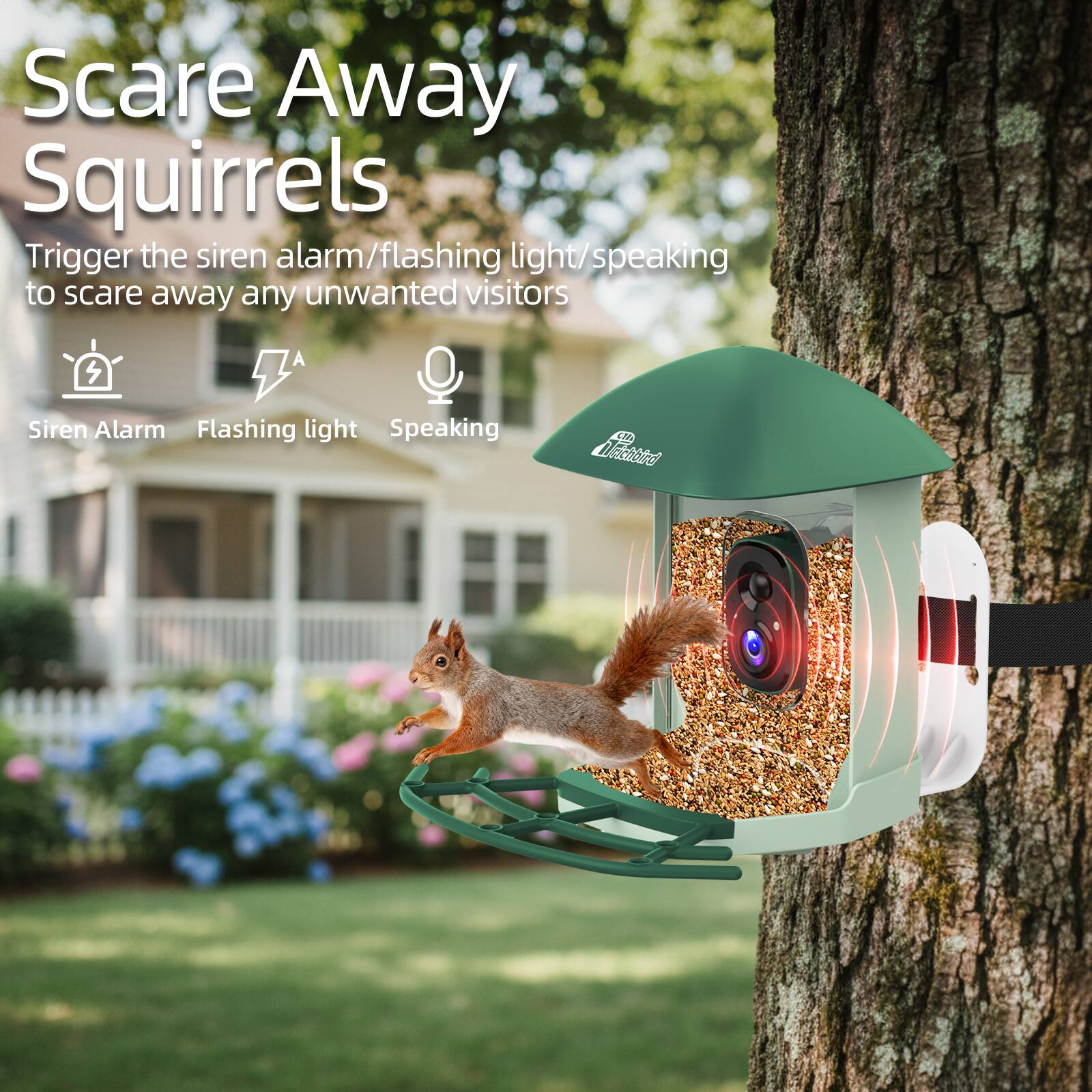 Scare Away Squirrels

Trigger the siren alarm/flashing light/speaking to scare away any unwanted visitors

- Siren Alarm
- Flashing light
- Speaking