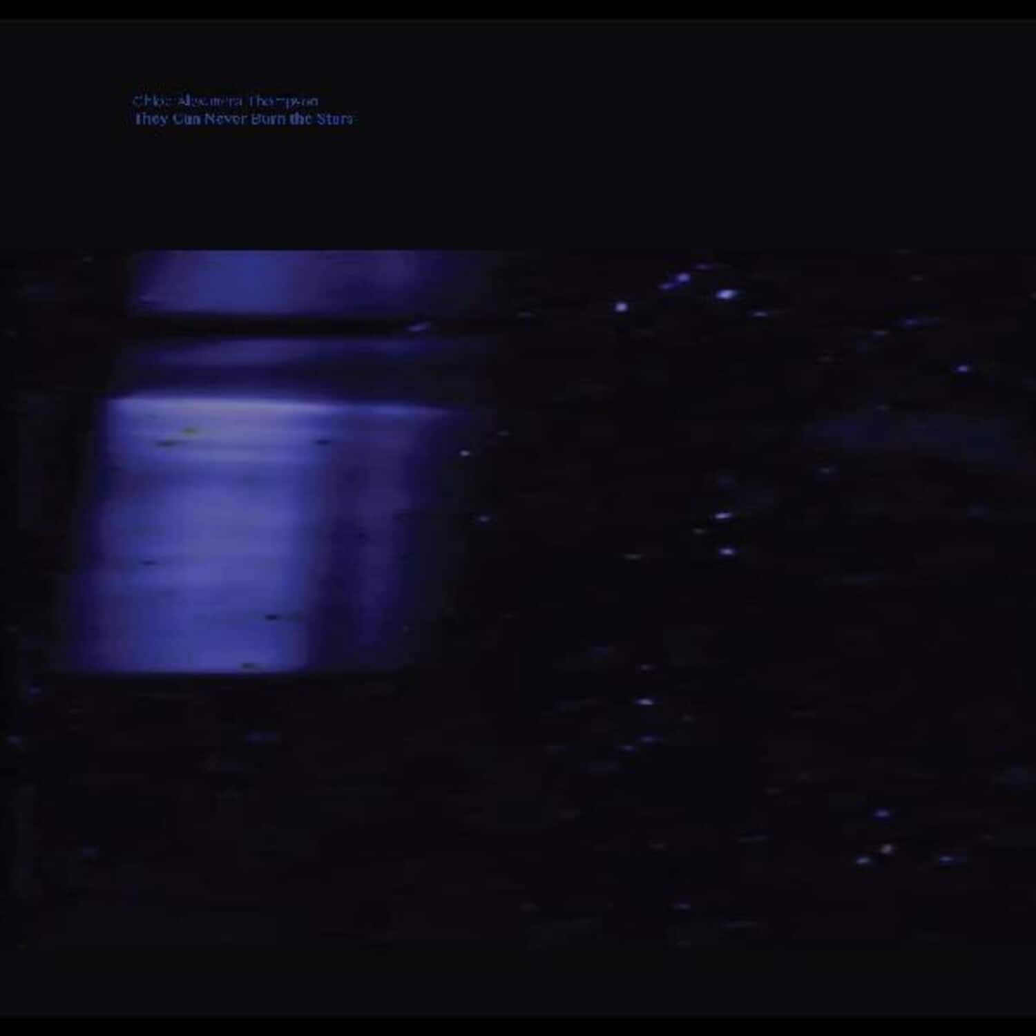 Chloe Alexander Thompson - They Will Never Burn The Stars   - VINYL LP price history on PriceWatchPro