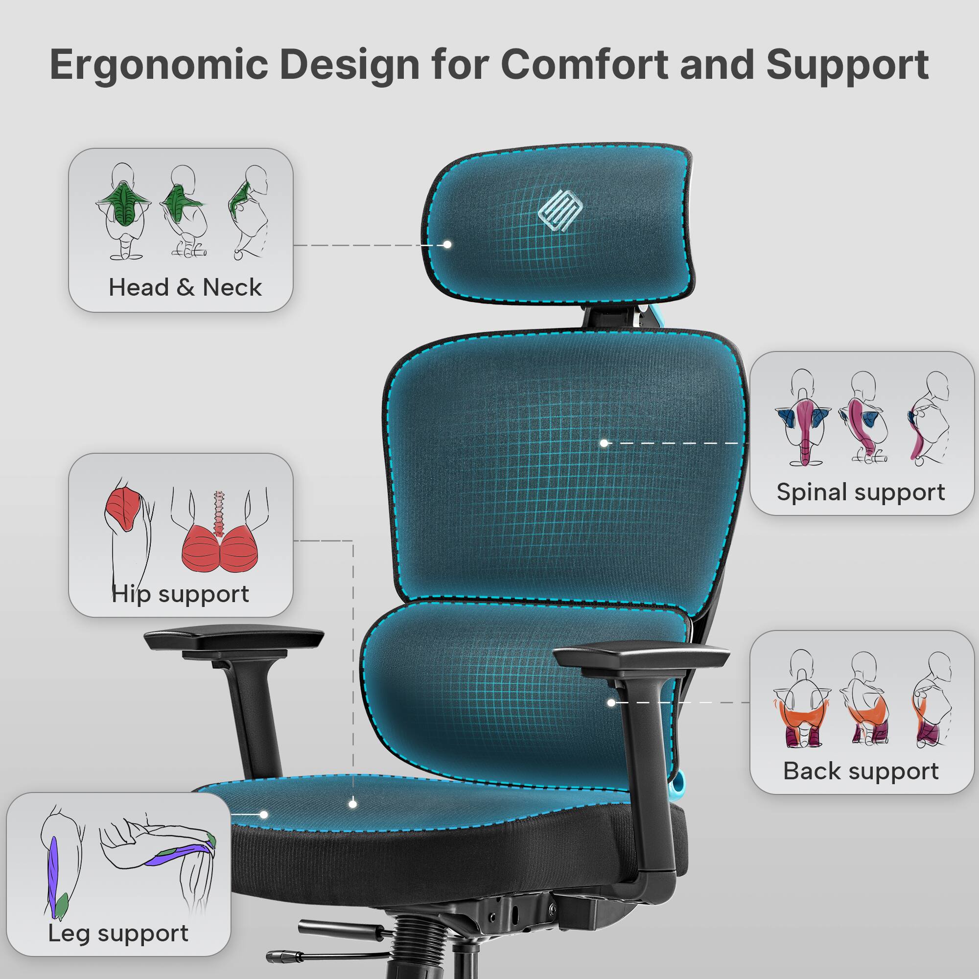 Ergonomic Design for Comfort and Support

Head & Neck
Spinal support
Hip support
Back support
Leg support