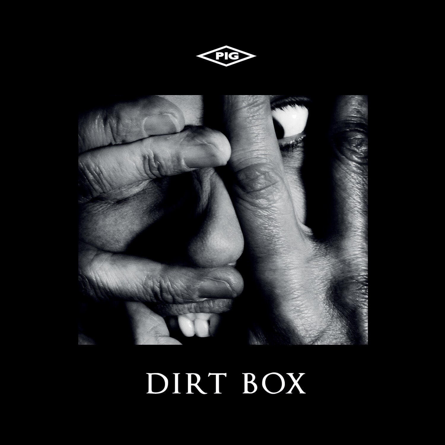 The Pig - Dirt Box   - COMPACT DISCS [CD]
