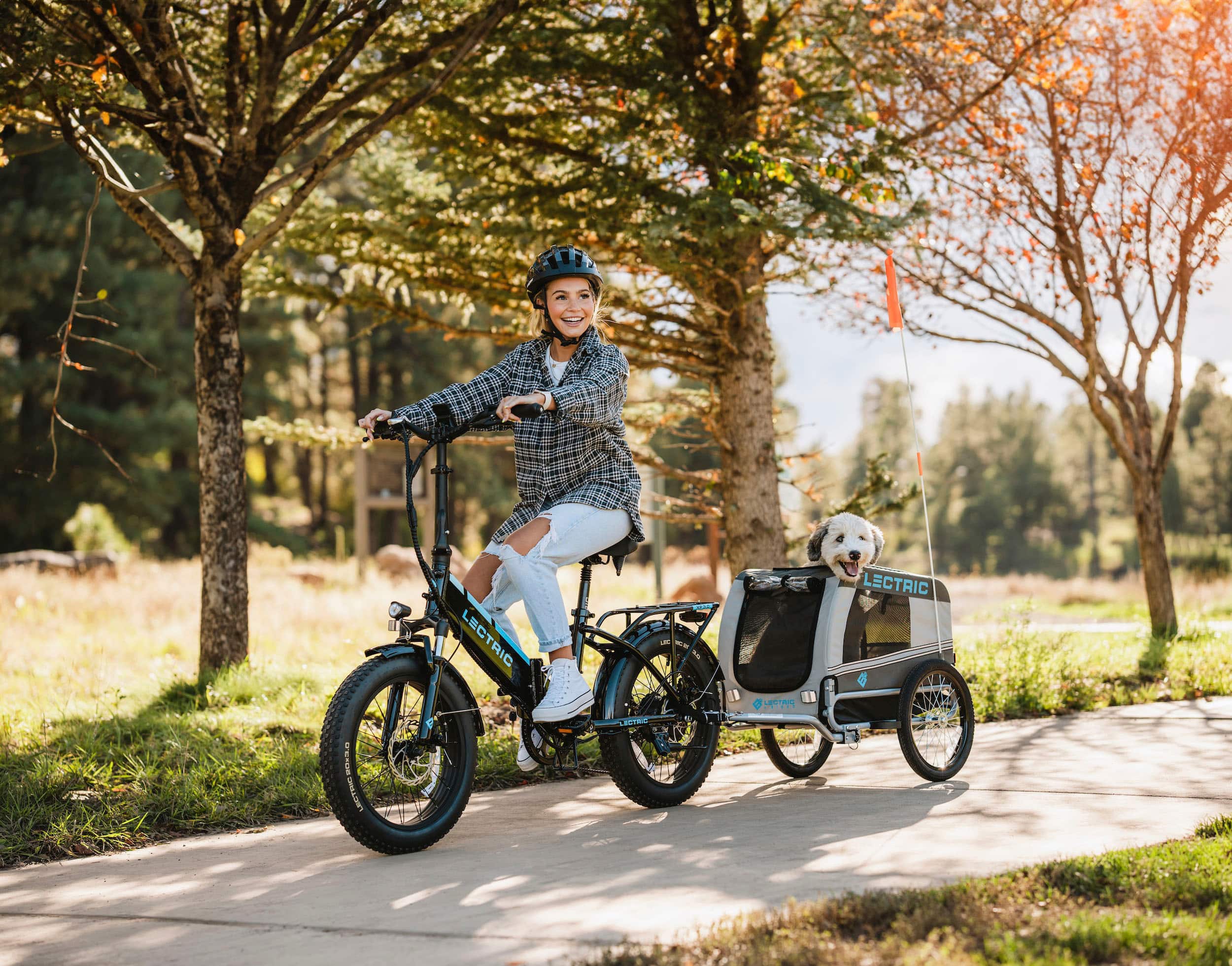 I have a electric bike - electric juicer.