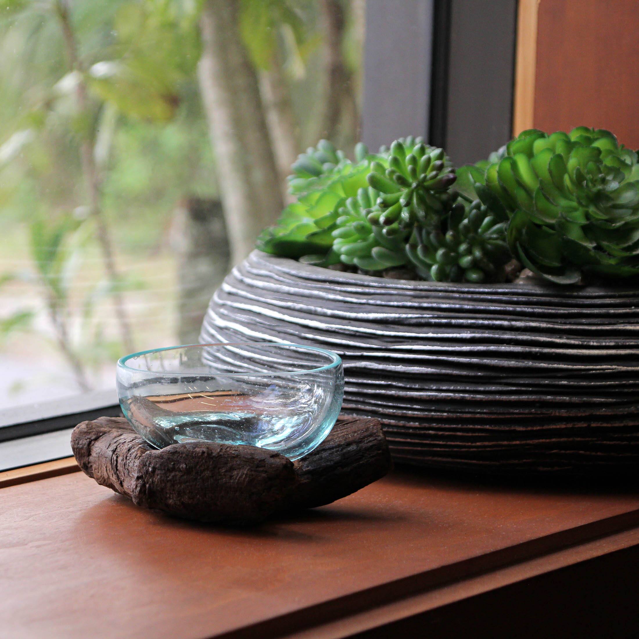 Alt View 5. Chesapeake Bay - Glass and Teak Driftwood Bowl – 3.25” High Decorative Succulent Centerpiece - Natural.