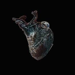 Seamus Blake - Guardians Of The Heart Machine - VINYL LP