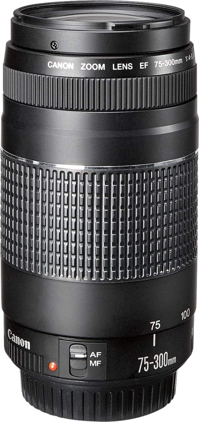 1:4-5.6 CANON ZOOM LENS EF 75-300mm

Canon
AF MF
75-300mm